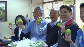 蜜棗外銷　韓國瑜挨轟「收割菊政績」