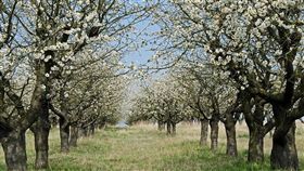 （圖／Tripbaa趣吧！亞洲自由行專家）