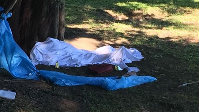 昨被通報失蹤　男今被發現陳屍樹下