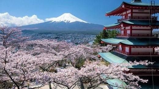 2019日本櫻花花期&amp;賞櫻景點攻略