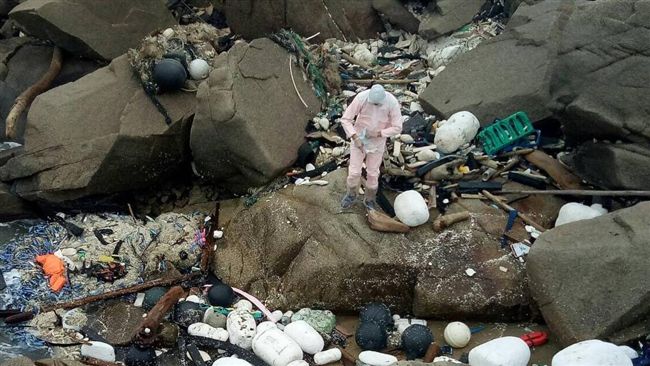 金門又有海漂死豬　海巡緊急報防疫署