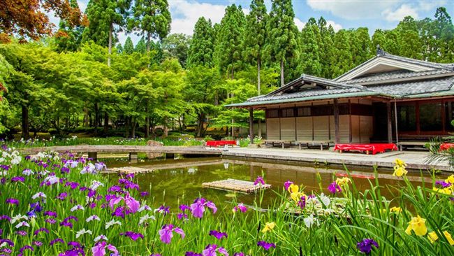 金獎加持！京都花鳥風月　秘境三湯風