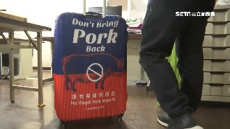 轉盤宣導防豬瘟　「豬套袋」超吸睛！