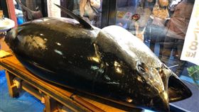 日本東京豐洲市場今（5）日黑鮪魚競標，拍出3億3360萬日圓（約新台幣9660萬元）新高紀錄。這是世界知名的築地市場去年10月熄燈遷址此地後，豐洲市場首度舉辦新年黑鮪魚競標。（圖／翻攝自@zanmai_man推特）