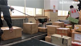 檢疫犬,包裹,防疫犬,中華郵政,／記者蕭筠攝影