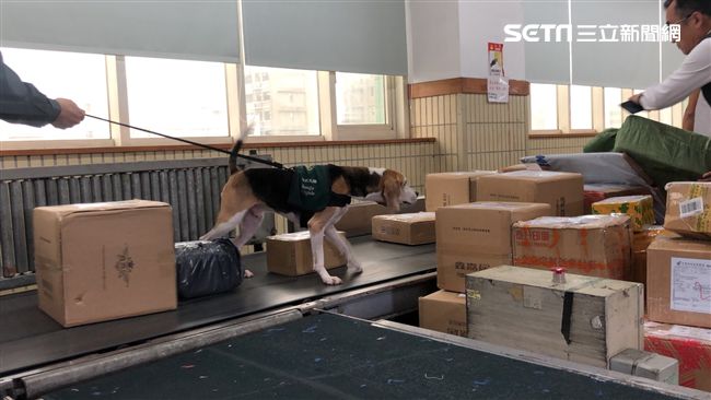 他嫌海關塞車…網挺防疫轟：又怪政府