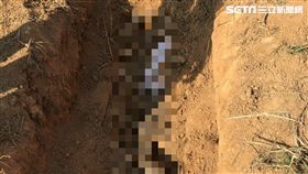 擄人,撕票,公墓,台中