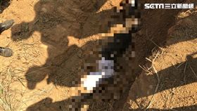 台中,債務糾紛,救難隊員,埋屍,公墓