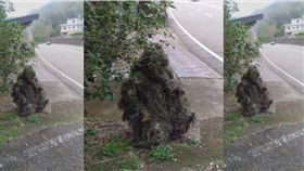 追焦手超強偽裝術讓網友都跪了。（圖／翻攝我是頭份人臉書）