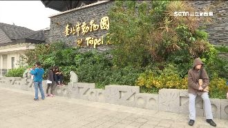 動物園變公墓…母爆埋兒屍「大台北」