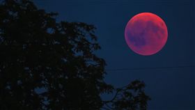 超級血狼月,天文,奇景,以色列,月蝕,月亮,猶太教,細罷特月,垮台,衝突,預言　圖／翻攝自Pixabay https://goo.gl/tjTvTF