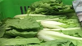 台北市衛生局公布今（2018）年9月生鮮蔬果殘留農藥抽驗結果。蚵白菜（圖／台北市衛生局提供）