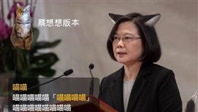 ▲網友KUSO的台灣共識「蔡想想」版本。（圖／翻攝自臉書粉專貓與邪佞的手指）