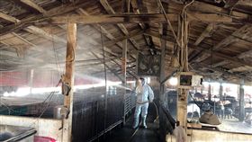 防堵非洲豬瘟　環保人員養豬場消毒（2）防堵非洲豬瘟，嘉義縣長翁章梁7日視察六腳鄉一處養豬場，瞭解養豬戶廚餘改用飼料養豬的情況，隨後由環保人員進行養豬場內消毒作業。中央社記者黃國芳攝　108年1月7日