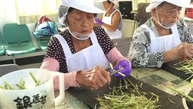 下腳料變身美食　將軍區青年活化蘆筍產業為了發揮蘆筍最大的價值，台南市將軍區在地青年組成團隊，整合農會、農友及社區長輩的力量，將販賣時裁切掉的蘆筍根部再利用，並命名為銀蘆筍，將原本是下腳料的剩餘蘆筍變成食材和美味料理。（青年署提供）中央社記者許秩維傳真　108年1月6日