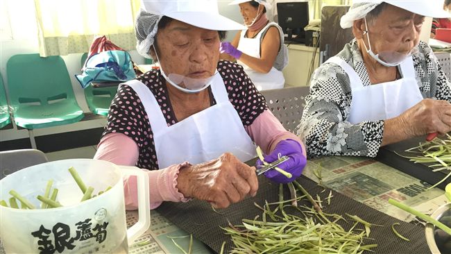 將軍區青年組成團隊　活化蘆筍產業