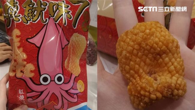 太生火！小七驚現超狂7倍大真魷味