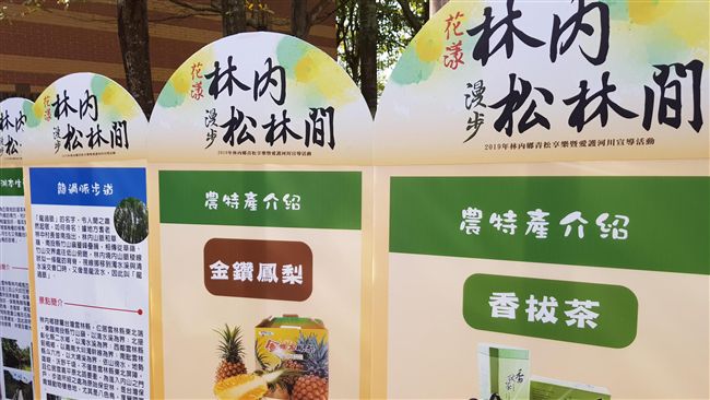 漫步松林秘境 　林內邀訪花漾輕鬆行