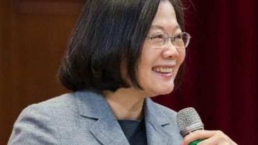 獨派大老的政治改革大戰略與主席選舉