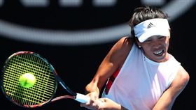 謝淑薇在2018球季交出亮麗成績單。（圖／翻攝自WTA官網）