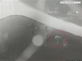 新竹,電擊,剃頭,事出必有因,霸凌,圍毆