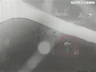 獨／女子遭剃頭、電擊！圍毆畫面曝光