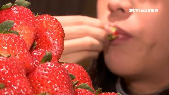 「草莓吃到飽」！業者擺草莓塔任你夾