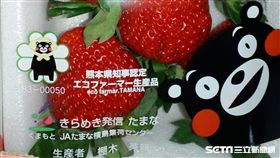 全盛股份有限公司、梅村水菓有限公司進口日本熊本鮮草莓，遭食藥署檢出農藥殘留不符合規定。（圖／食藥署提供）