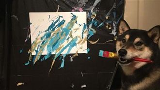 最強藝術家毛小孩　靠繪畫賺進15萬