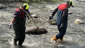 聞「屍」色變！台中電火溪發現動物屍體　動保處趕往確認
圖／翻攝自台中動保處