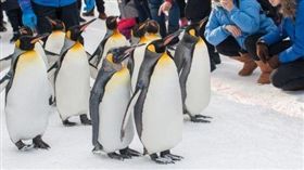 5 shutterstock_1025909980.jpg