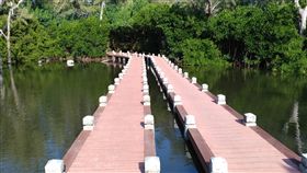 木棧道完成　台南北門版忘憂森林再現（1）台南市政府整修位於北門區雙春濱海遊憩區北側木棧道完成，沿線有豐富自然溼地景觀資源，被稱為「北門版忘憂森林」的景點相當熱門。（台南市觀光旅遊局提供）中央社記者楊思瑞台南傳真　108年1月9日