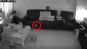 監視器錄到「詭異毛球」自行跳動的靈異畫面。（圖／翻攝自爆廢公社）
