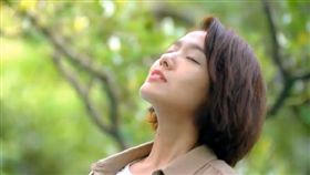 台南,林意箴 圖/翻攝自台南旅遊臉書