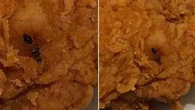 炸雞皮內藏酥炸大螞蟻　女一口咬下「雞皮疙瘩」爬滿身
圖／翻攝自Twitter