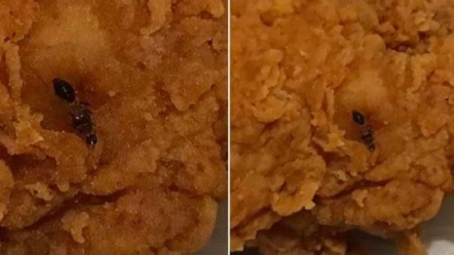 炸雞皮內藏酥炸螞蟻　女一口咬下崩潰