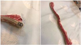 小被被,拉鍊,枕頭套（圖／翻攝自爆廢公社）