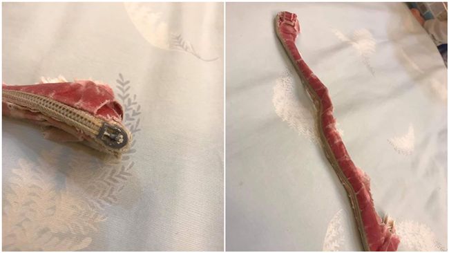 小被被剩拉鍊！姊揭22年驚人真相