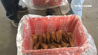 暖冬又沒雨！冬筍產量少5成價格翻倍