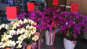 花盆,秘密,宴請,宴客,規定,禁止,紅包,罰款,大陸,山西　圖／翻攝自梨視頻、資料照