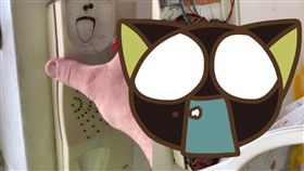 蟑螂,維修,水電工,話筒,澳洲,雪梨,電話　圖／翻攝自YouTube http://youtu.be/T8iZS4oHIyc