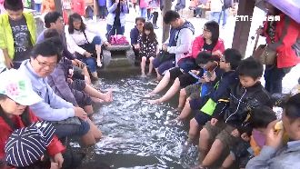 無論晴雨都要來！清水地熱重開園爆夯