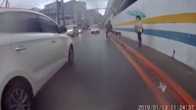 他騎車踹狗秒自摔　網友：最快現世報