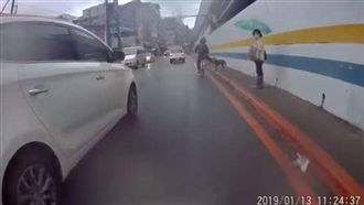 他騎車踹狗秒自摔　網友：最快現世報
