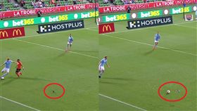 球場「散步鴿」慘遭踢爆　網酸內馬爾 
足球,鴿子,衰,踢爆,澳洲甲 
翻攝自臉書Hyundai A-League