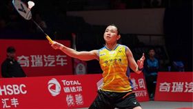 戴資穎。（圖／翻攝自戴資穎臉書）