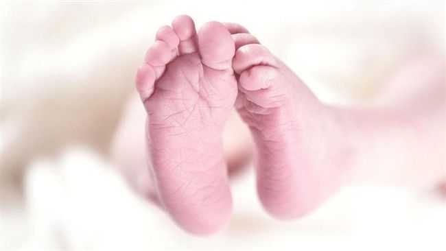 恐怖！夫妻「伴水泥封箱」嬰屍達8年