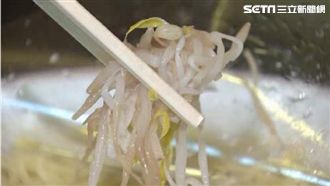 比地瓜葉還強！「1蔬菜」纖維量稱霸