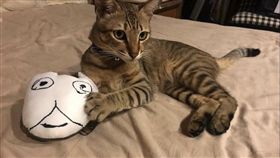 （圖/陳其邁IG）