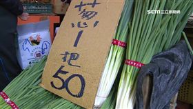 三星蔥拍賣價10年新低 蔥農嘆:不敷成本